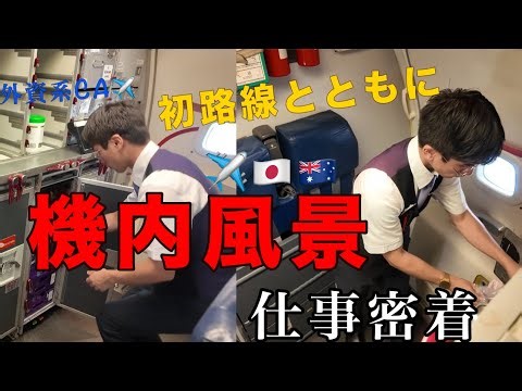 【初路線解禁】現役外資系CAのリアルなギャレーポジション勤務が楽しすぎた