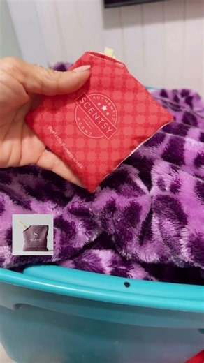 Scentsy Sachet