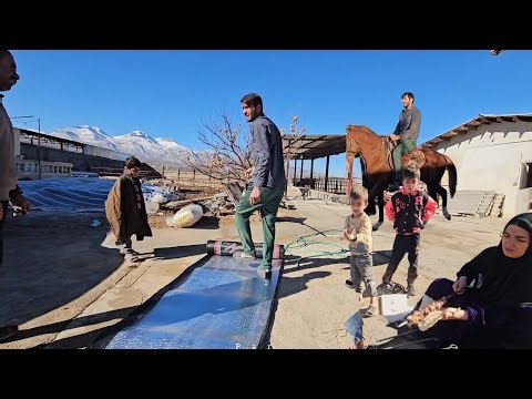 🏠🐄💧Roof Waterproofing in the Cowshed | Babak and Soleyman Working Together