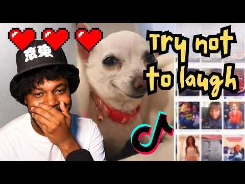 5 Hours Of CoryxKenshin’s FUNNIEST Try Not To Laugh Clips 🤣😆