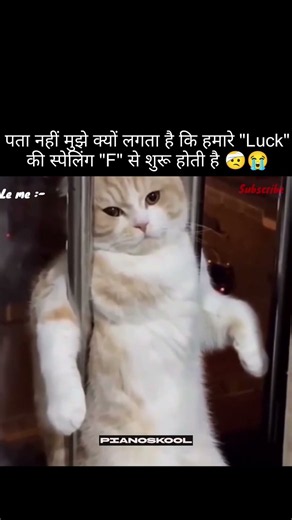 First 😜 #viral #memes #trending #popular #funny #funnymemes #tweetreels #explore #dog #lofi
