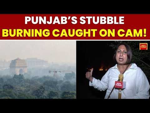 Punjab Stubble Burning Continues Despite Crackdown, Delhi Faces Pollution Worries | India Today