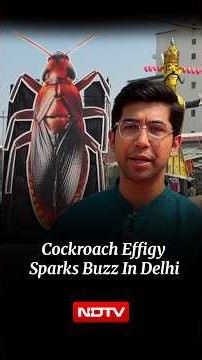 Why Is A Giant Cockroach At A Delhi Ramlila Ground In Pitampura? | Vijaydashmi 2026