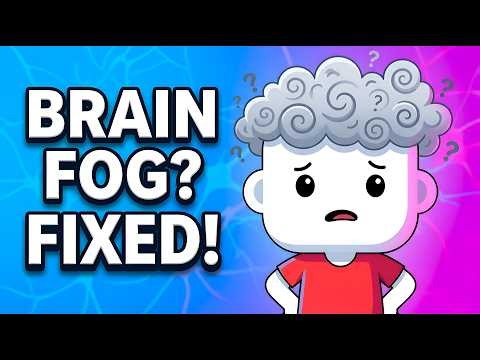 Brain Fog Is Not Your Fault: Why It Happens