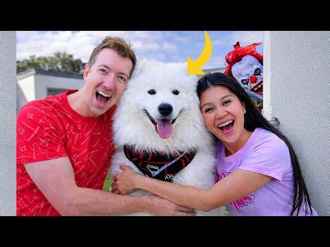 SPY NINJA DOG is BACK! 😍 CLOWN FACE REVEAL! Chad Wild Clay & Vy Qwaint