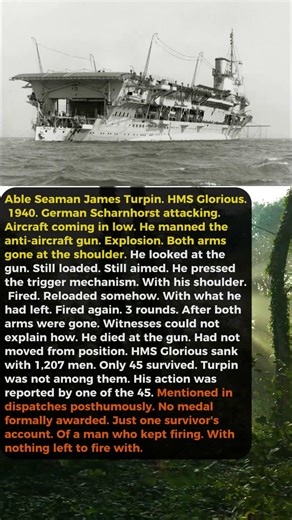 Gunner Kept Firing His Anti-Aircraft Gun After Both His Arms Were Blown Off — Using His Shoulders
