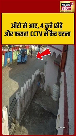 Arrived by auto-rickshaw, dropped off 4 dogs, and fled! Incident captured on CCTV | #shorts