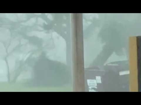 Video shows a tornado uprooting trees in Illinois