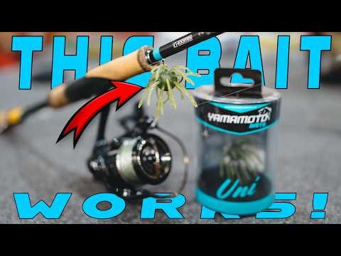 Tricks To Catch Bass In Hot August Heat! ( Reservoir Bass Fishing )