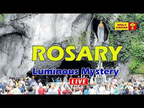 🔴 LIVE -30-04-2026 @ Holy Rosary from Lourdes Grotto | Luminous Mystery | Holy Cross Tv
