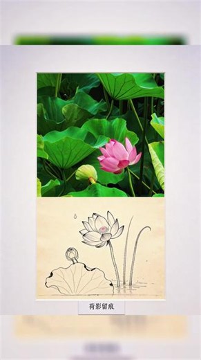 发明这个 skills 确实很厉害 Hermes minmax M3 生成#绘画日常分享 #skills