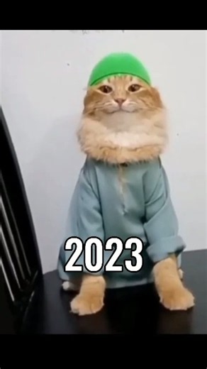 The Most Legendary Cat Memes (Then Vs Now) 😱