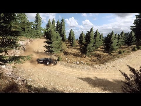 DiRT Rally 2.0 World Record | Citroën C4 Rally @ DRY Ourea Spevsi | 3:07.584