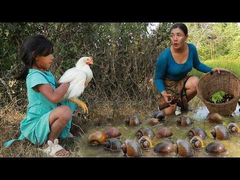 Catch chicken & snail by rainforest/ Cooking pork belly curry with egg & Fry snail spicy for dinner