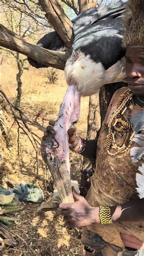 😱🦅 what an incredible marabou stork! #africa #reels
