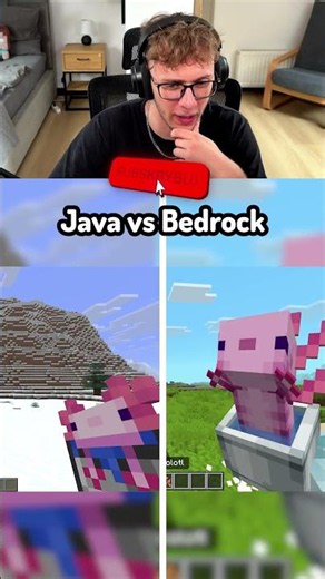 Java vs Bedrock w Minecraft!