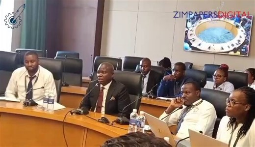 GEO Pomona Waste Management chief executive and executive chairman Dr Dilesh Nguwaya has urged Government to take decisive action against illegal street vendors in Harare, saying their activities are undermining efforts to clean the Central Business District through uncontrolled littering.