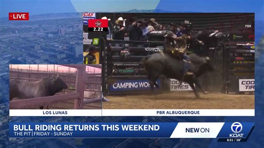 Two pythons stolen from midtown pet store