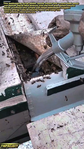 Bee Syrup Feeder Nozzle: How It Refills Hives During Nectar Shortage, Colony Saver