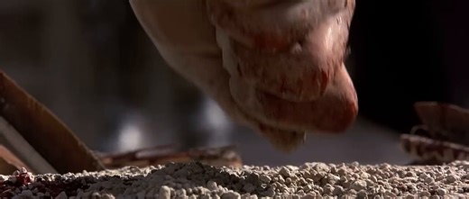 “My name is Maximus Decimus Meridius, commander of the Armies of the North.Father to a murdered son. Husband to a murdered wife. And I will have my vengeance, in this life or the next.”