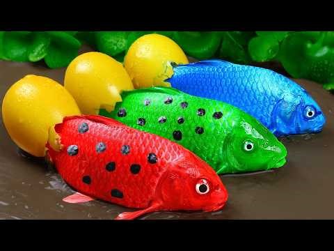 Best Of Small Fish Recipe | MINIATURE Fish Cooking Made EASY with Simple Recipe