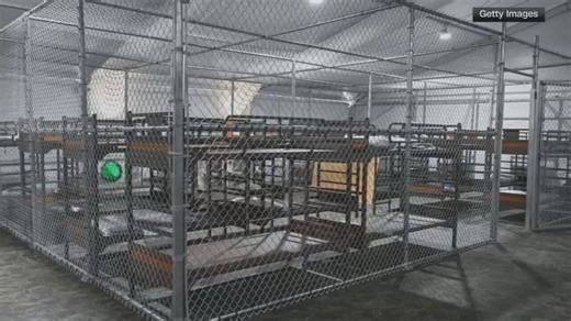 Court rules Alligator Alcatraz can remain open