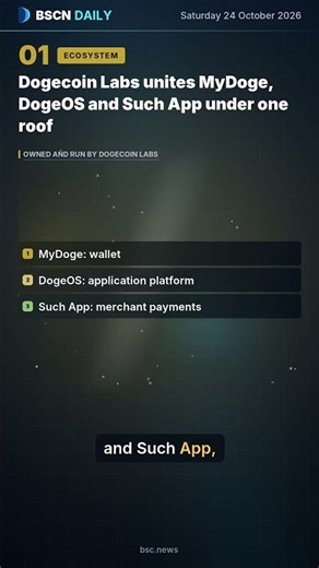 Dogecoin Labs Launches as DOGE's Own Development Company | BSCN Daily