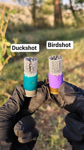 Cutting Open Duckshot and Birdshot Shells 💥