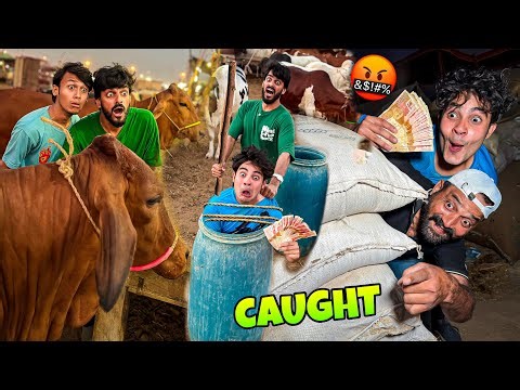 400000 RUPEES RECOVERD & CAUGHT DHOKEBAAZ IN THE COW MANDI 🤬 | MISHKAT KHAN