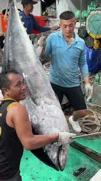 Taiwan's donggang fish cutting master showcases the art of bluefin tuna cutting#黑鮪魚 #seafoodmarket