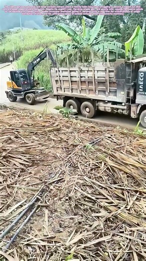 Pushing the Limit: When a Slope Defeats a Haul Truck's Traction