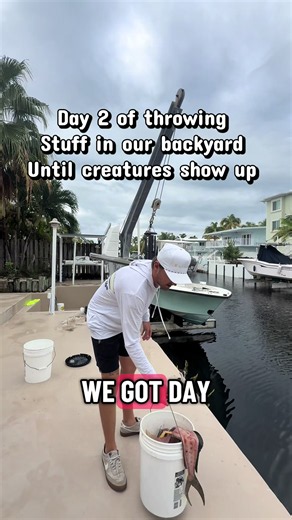 Day 2: Catching a Tarpon in the Backyard Fishing Experiment