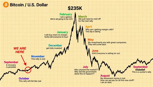 The Bitcoin Times on X: "🚨 ALERT: THE 2026–2027 CRYPTO BULL MARKET ROADMAP September → Skepticism October → Growing Confidence November → Short-Term Bottom December → Market Rebound January → Peak Euphoria February → Fresh All-Time High March → Altcoin Explosion April → Bull Trap May → Massive Panic Selling June → Bear Market Begins Retail investors will rush in near the peak and dump their holdings when prices approach the bottom. Keep this in mind: I’ve spent OVER A DECADE successfully identi