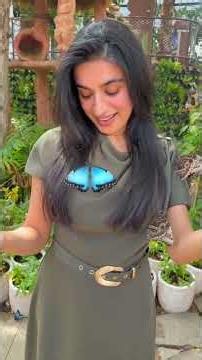 Breakfast with butterflies @VisitAbuDhabiChannel #InAbuDhabi #hindi #breakfast