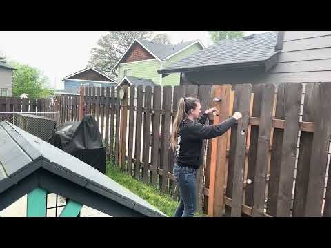 No Outlet Needed? Solar String Lights Test