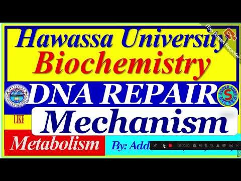 16. DNA Repair Mechanism | Nucleotide excision| Base excision | mismatch repair #biochemistry #2026