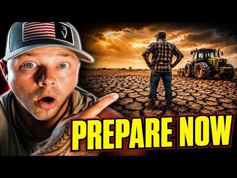 MASSIVE FOOD SHORTAGE HAS BEGUN - What You Must Do Now!