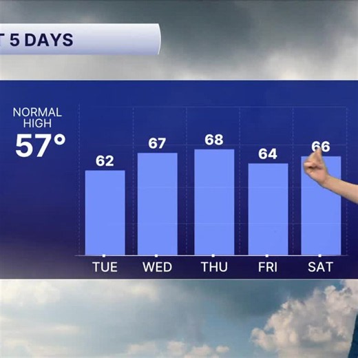 Weather Forecast Video