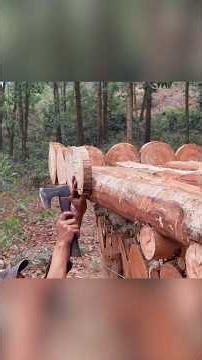 My Off-Grid Escape 😱 100% Handmade Cabin in Forest #bushcraft #survival #construction #outdoor