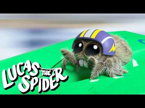 Lucas the Spider Goes Flying + More Cartoons for Kids