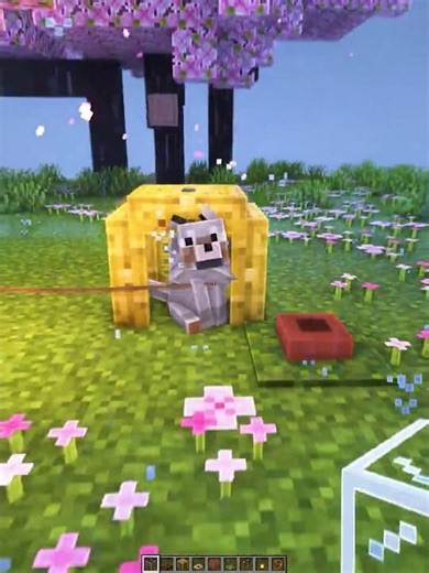 House For My Dog And Me 🥺🏠 #minecraft