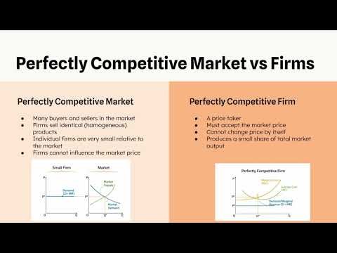 Perfect Competition: Introduction & Key Characteristics | Economics (1 of 6)