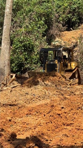 Bulldozer Levels the Ground