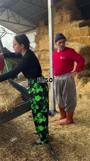 Satisfying Barn Cleanup & Cow Feeding Routine 🐮🚜🐐 #shorts #farming #farmlife