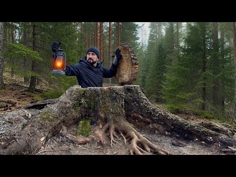 Building a Secret Extreme Survival Shelter Inside a Giant Tree Stump