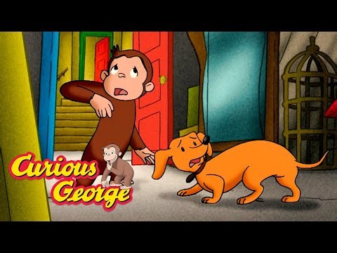 Theres Something in the Basement... 🐵 Curious George 🐵 Kids Cartoon 🐵 Kids Movies