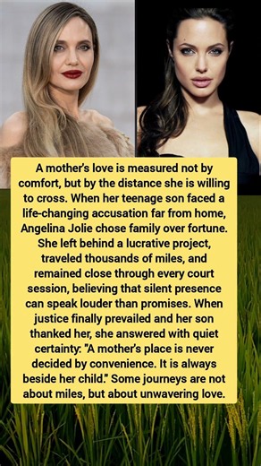 The Heartbreaking Sacrifice of a Mother | Angelina Jolie's Unwavering Love for Her Son