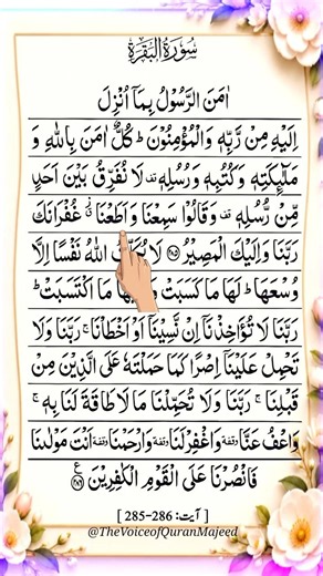 Aamanar Rasool 🤍 | Last 2 Ayat of Surah Baqarah | Beautiful Quran Recitation