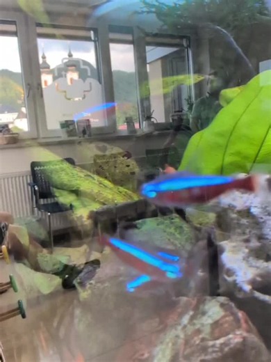 #überzeugendpräsentieren #video #susannehausschmid | SUSANNE HAUSSCHMID