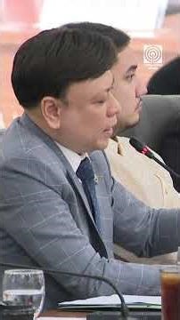 Popoy, Papa P nabanggit; Brian Poe nanawagang 'wag mag-pop culture reference sa impeach hearing